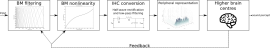 General structure of an auditory model